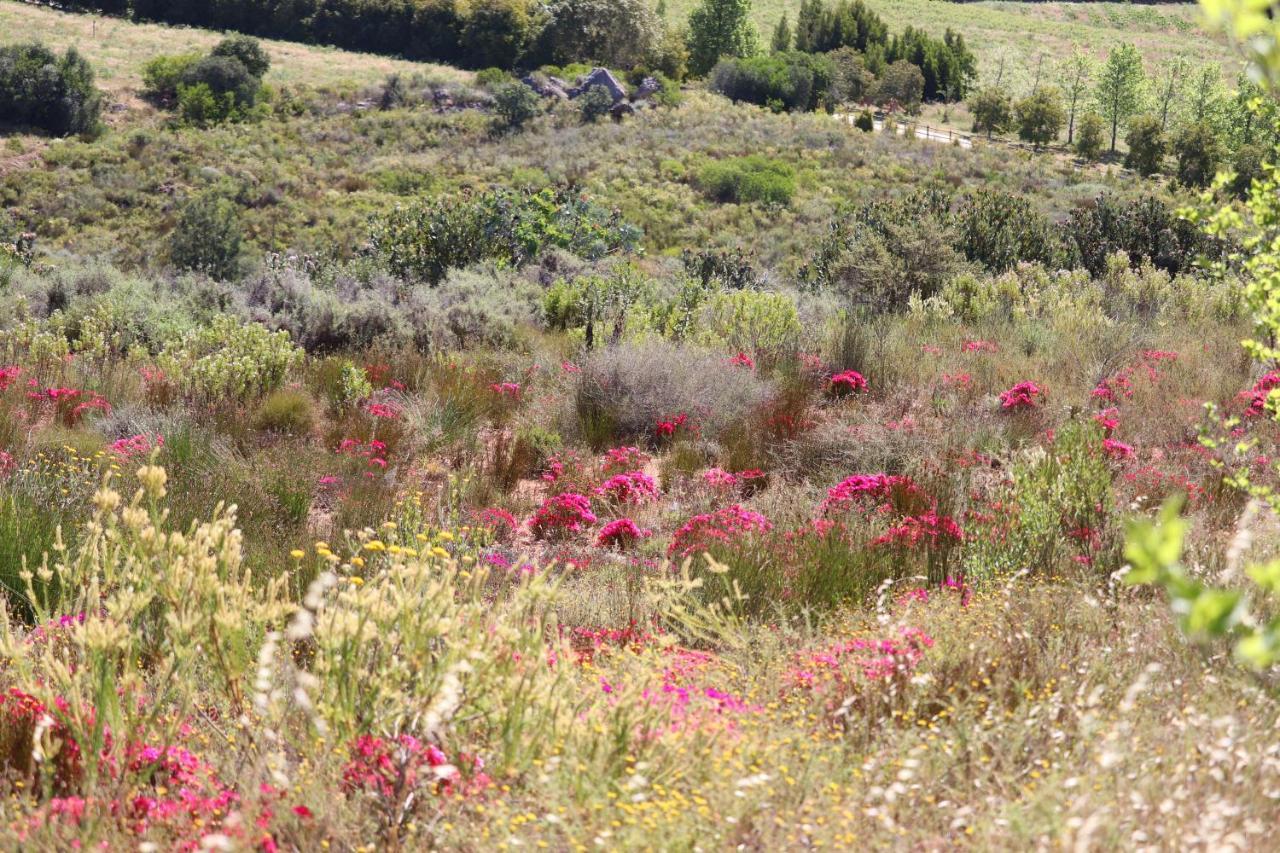 Highlands Eco Estate Hotel Piketberg ภายนอก รูปภาพ