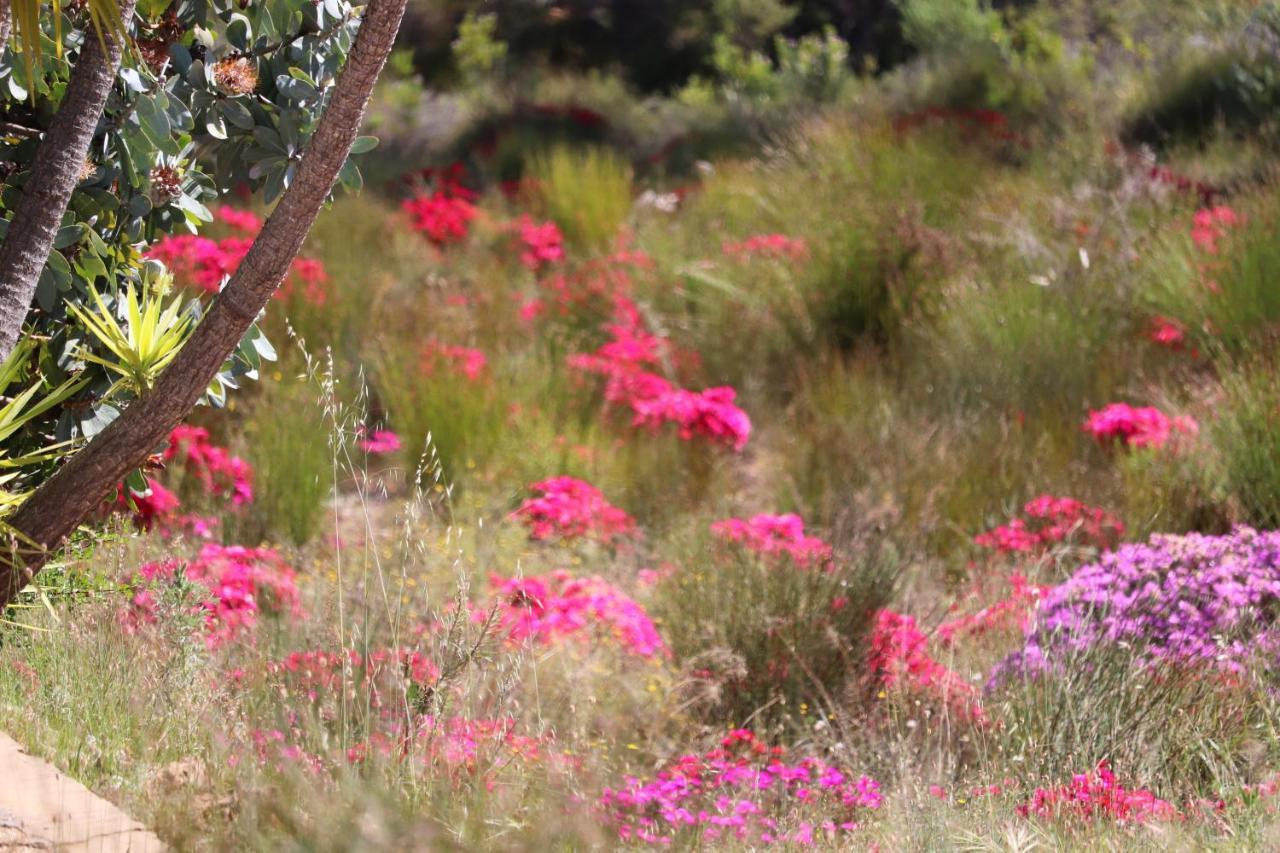 Highlands Eco Estate Hotel Piketberg ภายนอก รูปภาพ