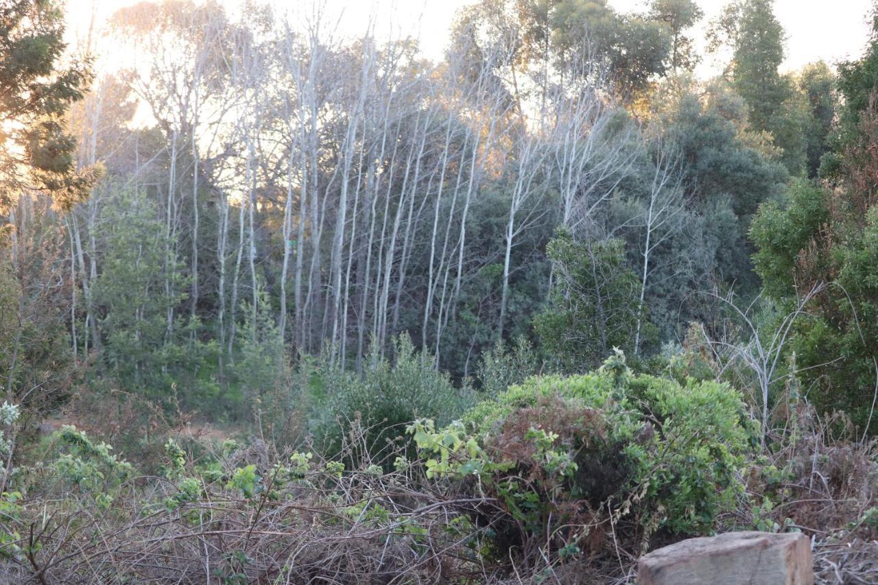Highlands Eco Estate Hotel Piketberg ภายนอก รูปภาพ